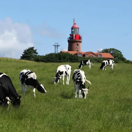 In Nahe Ostseestrand * Kägsdorf