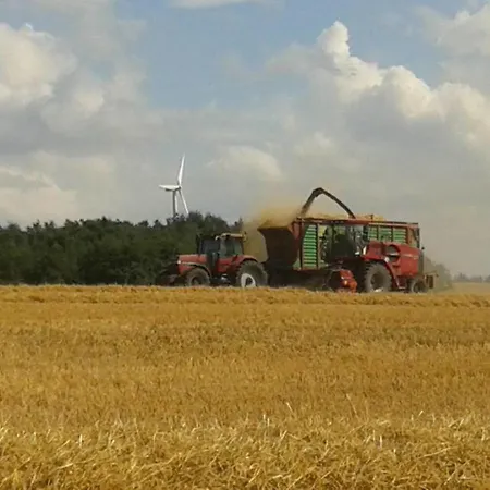 In Nahe Ostseestrand * Kägsdorf