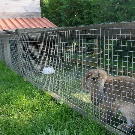 Appartement In Nahe Ostseestrand *