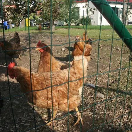 Appartement In Nahe Ostseestrand