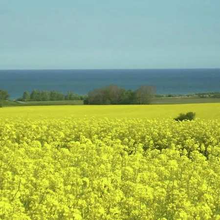 Appartement In Nahe Ostseestrand